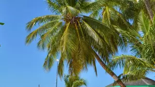 Остров в Карибском море планирует ввести долгосрочные визы для работающих удаленно