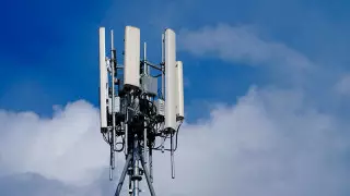 Воздействие 5G на организм проверили на эмбрионах