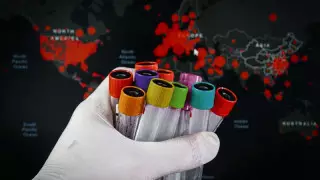 4 сценария распространения COVID-19 в мире назвали в ВОЗ