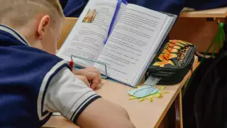 Продлить "дистанционку" в школах рекомендует Минздрав