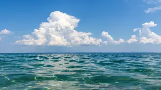 Пытались спасти друг друга: Девушка, парень и две девочки утонули в Карагандинской области