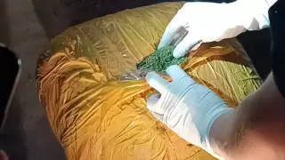 КНБ рассказал о задержании в Жамбылской области