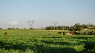 Почему в Казахстане трудно получить бесплатные 10 соток земли