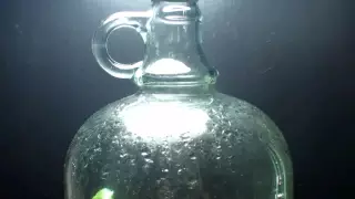 Блогер показал, что произошло в запечатанной на 12 лет бутылке с животными