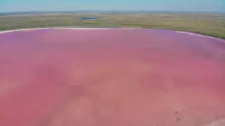 Вывозивших соль с розового озера Кобейтуз хотят наказать