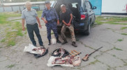 Мужчина убил косулю в заповеднике Алматинской области