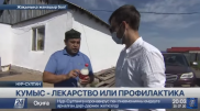 Не рассматривать кумыс и саумал в качестве лекарств советуют врачи