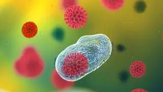 Антитела к COVID-19 держатся в организме в течение 3 месяцев - ученые