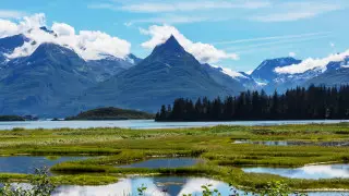 Мощное землетрясение произошло на Аляске