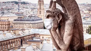 После изоляции и со свекровью рай