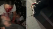 Автомобиль врезался в корову под Алматы: погиб мужчина