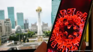 Казахстан дважды обращался в ЕС с просьбой помочь во время пандемии