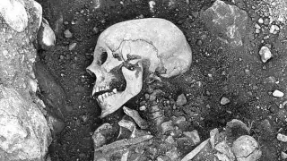 В зубах викингов нашли вирус, позже ставший одним из самых смертоносных в истории