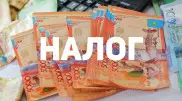 Освободить от налогов онлайн-предпринимателей предложил Султанов