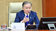 Нигматулин высказался об "отдыхе" депутатов за границей