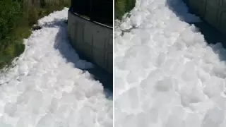 "Мыльная" пена в реке Алматы: опубликован результат анализа