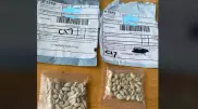 Таинственные семена из Казахстана получают в посылках жители США