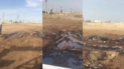 Необычную птицу засняли нефтяники в Мангистау