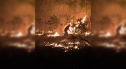 Леса и степи горят в Казахстане из-за жары