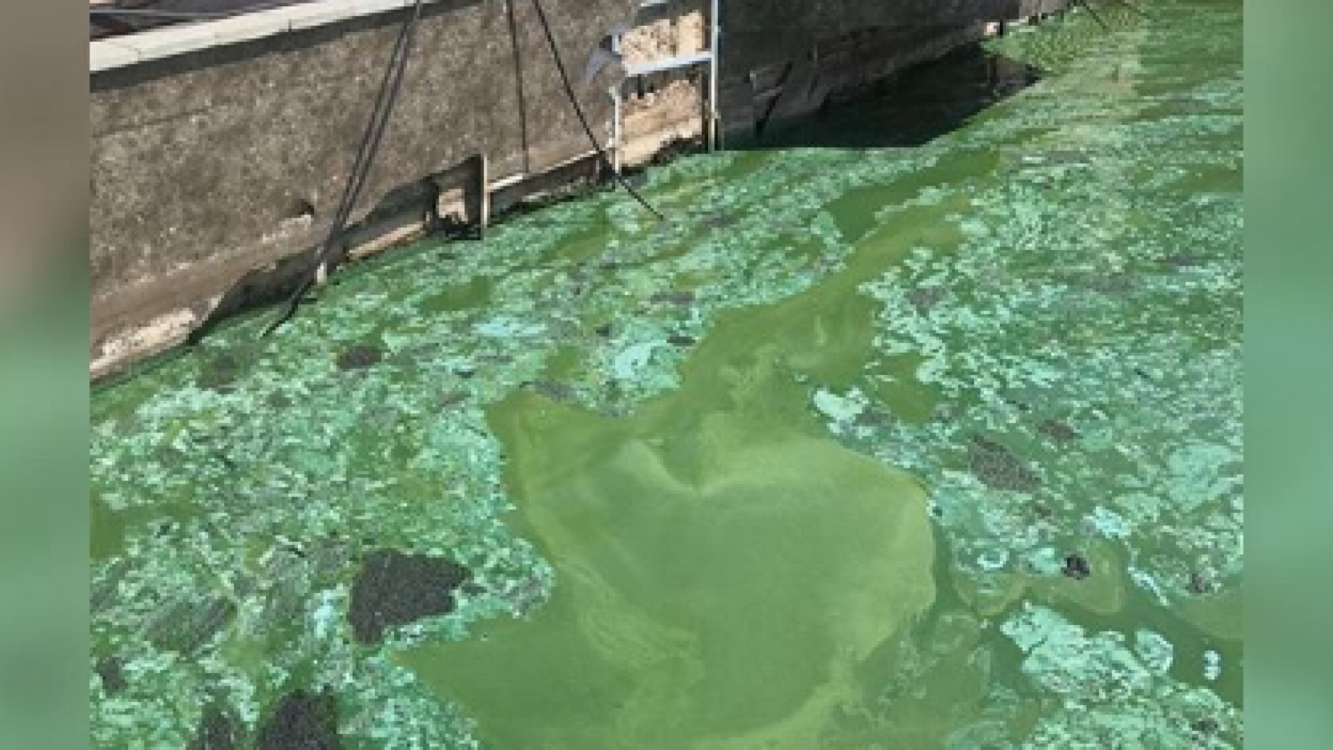 Зеленые воды последствия. Астана река Есиль загрязнение. Зеленая вода в Израиле в подземелье. Мутная зеленая вода в бассейне. Зеленая вода в Балаклаве 2023.