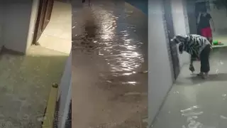 Более 7 месячных норм дождя выпало в Мангистауской области