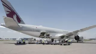 ВОЗ направила Казахстану 200 кислородных концентраторов