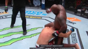 Льюис отправил Олейника в нокаут на турнире UFC