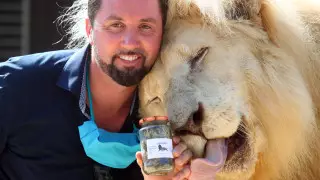 Банки со львиным пометом начал продавать цирк в Германии