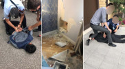 Сейф с 11 миллионами и золотом вынесли из квартиры в Караганде