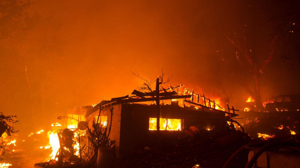 Леса горят в Калифорнии из-за природного пожара