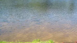 Мужчина утонул в Балхаше, пытаясь спасти своего сына