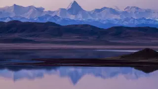 Удивленная лиса и любопытный кузнечик. 10 интересных снимков фотоконкурса "Мой Казахстан"