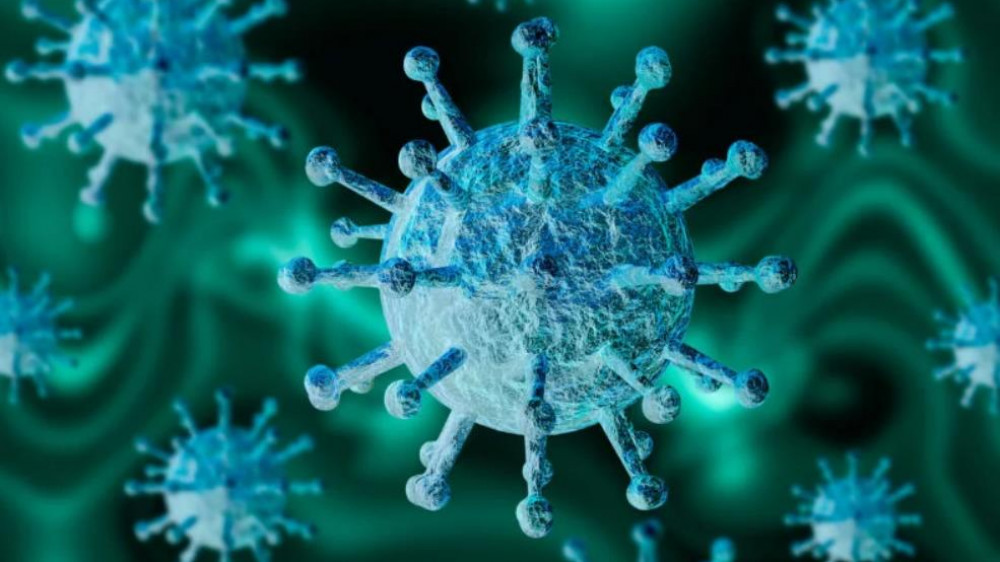 Ученые впервые нашли живые коронавирусы в воздухе