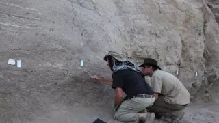 Матрас эпохи каменного века нашли в Африке