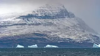 Климат Земли прошел точку невозврата - ученые