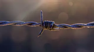 Почти 120 тысяч заключенных помиловали в Индонезии