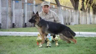 День пограничника: как работают казахстанские кинологи
