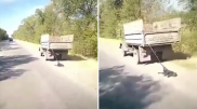Привязанную к машине собаку протащили по трассе в Алматинской области