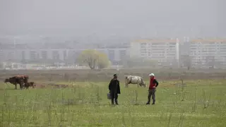 Центральную Азию предупредили о риске голода "библейских масштабов"