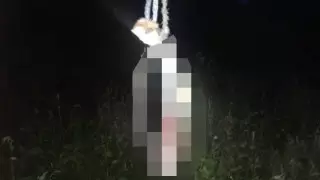 Трое жителей СКО убили и съели отданную в счет долга собаку