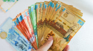 Жителям ЗКО будут платить за сообщения о тоях во время карантина