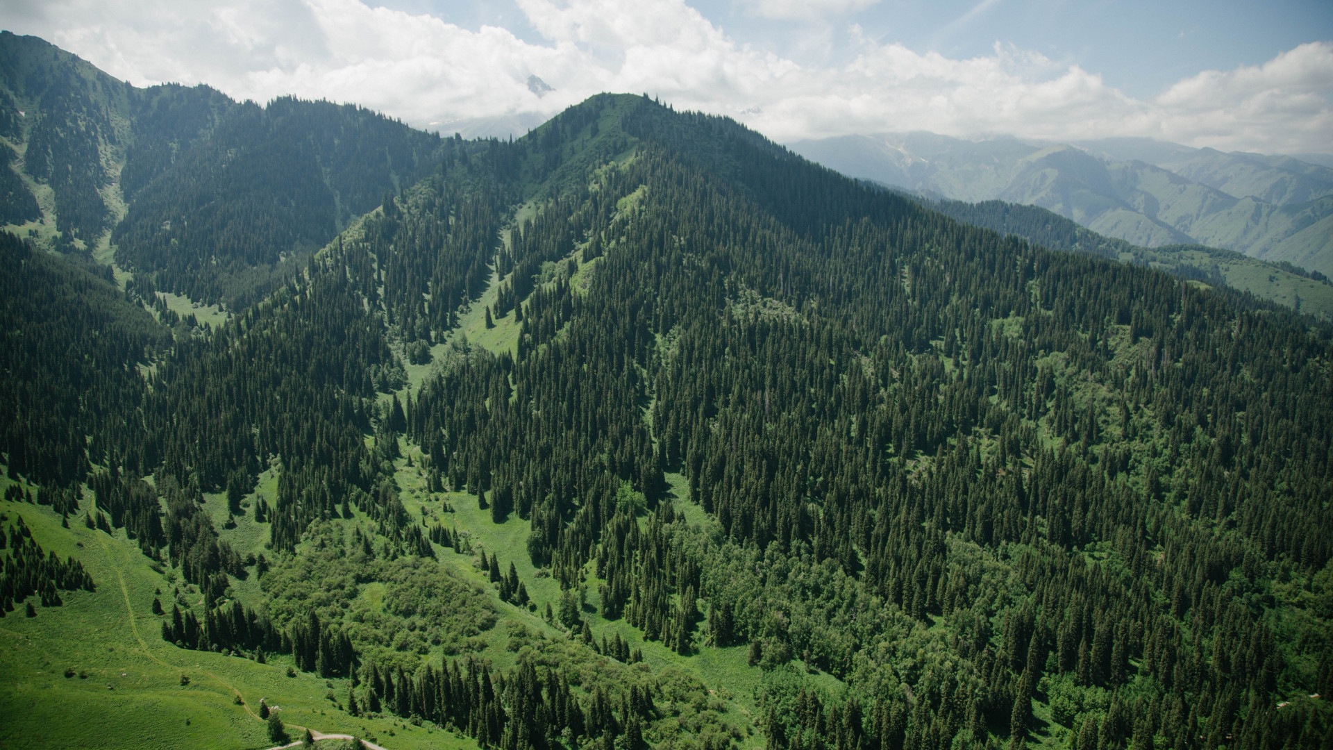 Бутаковка алматы фото