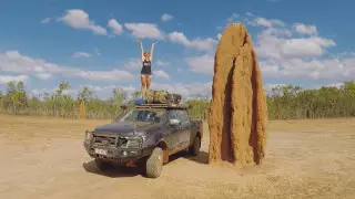 Строители "небоскребов", которые спасут Землю. Зачем туристы едут смотреть на термитники