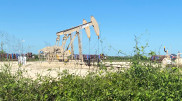 Сколько нефти добыл Казахстан с начала года