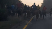 Всадники устроили кокпар на трассе Алматы - Бишкек