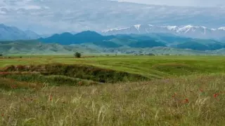 Тоқаев мораторий күшін жойса да жер шетелдіктерге сатылмайтынын айтты