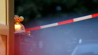 Массовое убийство детей расследует полиция Германии