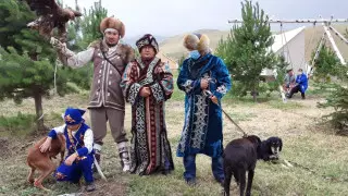 "Ауызбіршілігіміз жоқ". Қазақстан тазыны неге патенттей алмай отыр?