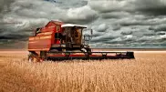 Уборочная кампания в Казахстане идет на отечественной технике
