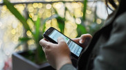 В WhatsApp нашли "текстовую бомбу", которая ломает мессенджер